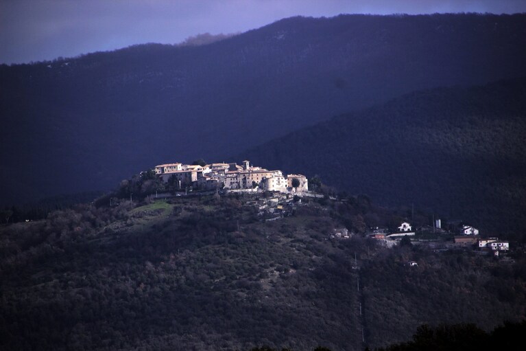 Immagine