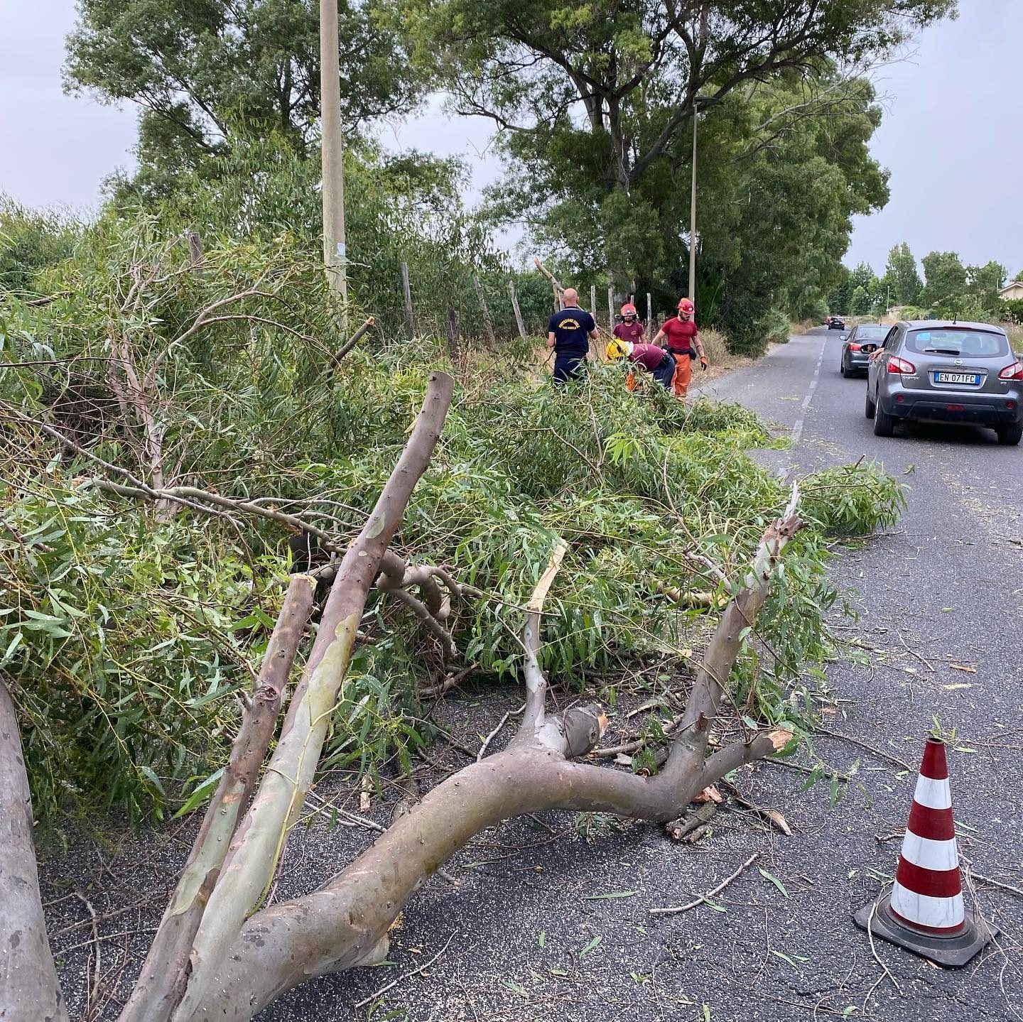 Immagine di repertorio