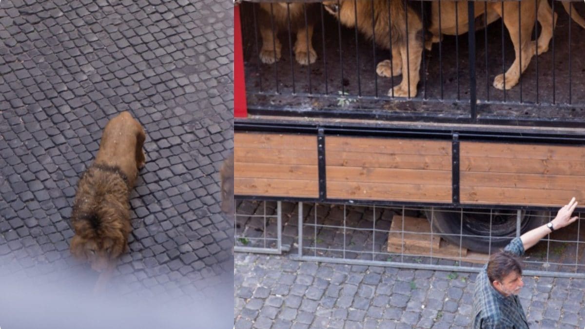 Foto scattate dal fotografo Matteo Nardone.