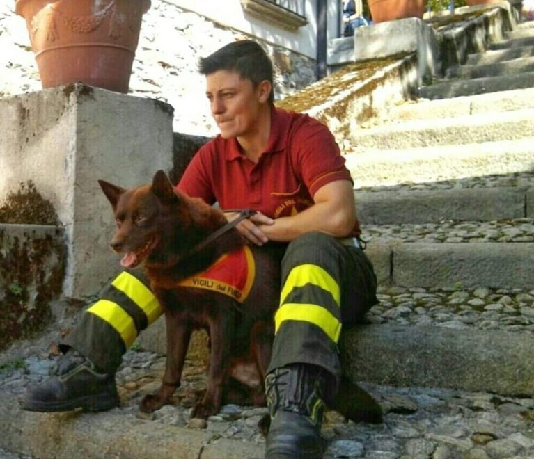 Immagine