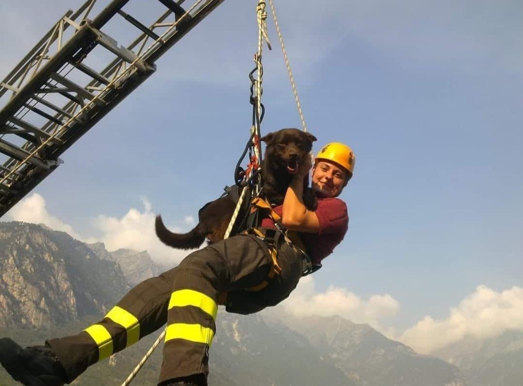 I Vigili del fuoco salutano il cane eroe di Amatrice, Norcia e ...