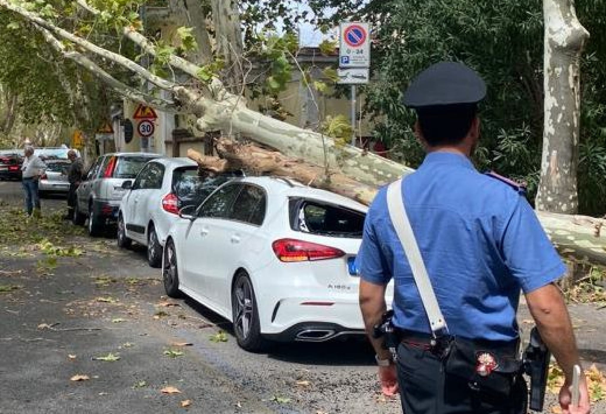 Allerta meteo a Roma, un albero si abbatte su un'auto sul Lungotevere ...