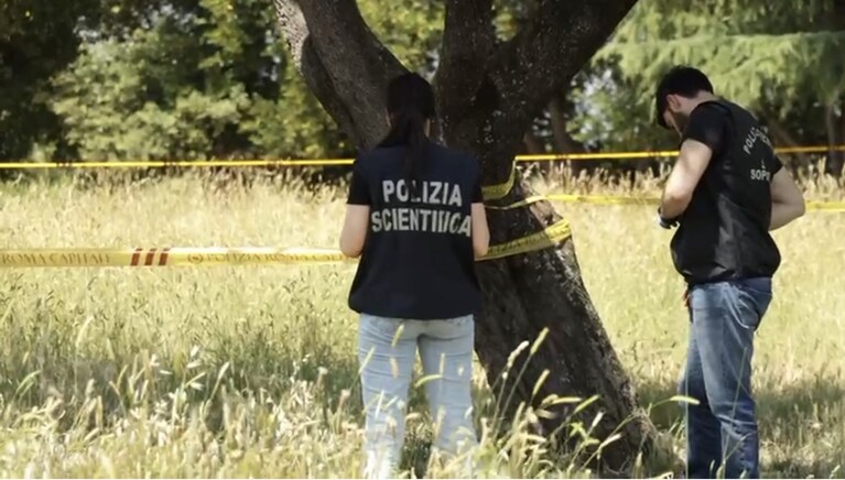 Immagine