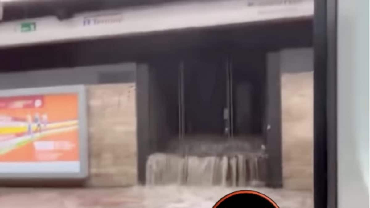 Screenshot dal video pubblicato da Welcome to Favelas su Instagram.