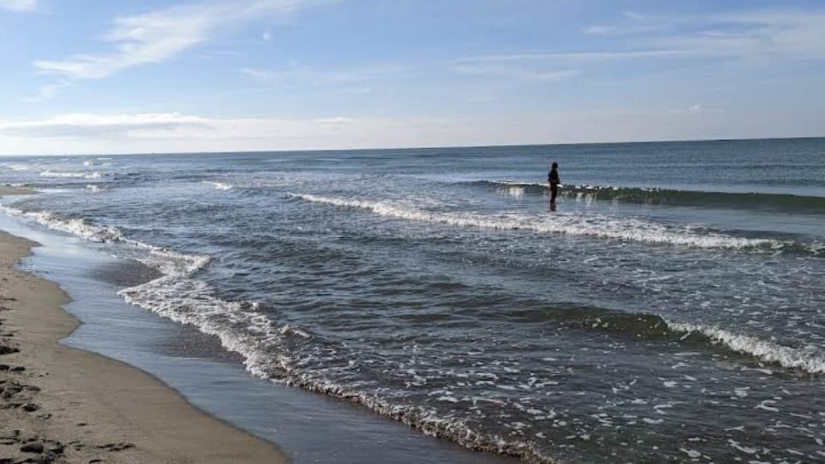 La spiaggia di Maccarese davanti allo stabilimento "Lo scoglio", da Google Maps.