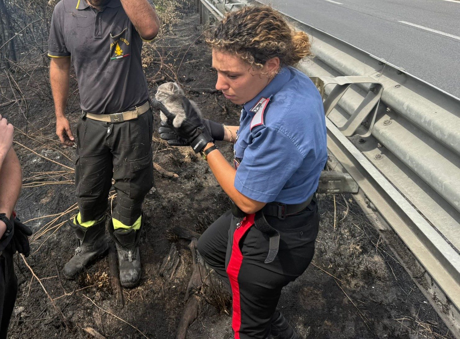 Carabiniera e vigili del fuoco salvano un gattino.