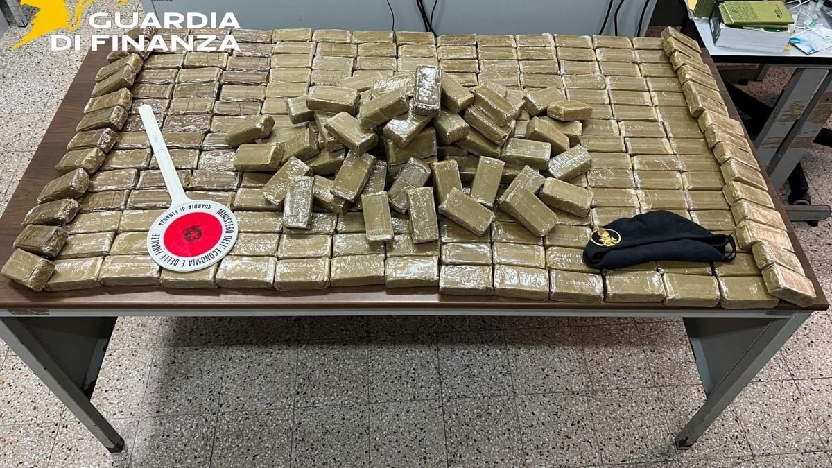 La droga nascosta tra i giocattoli sequestrata dalla guardia di finanza