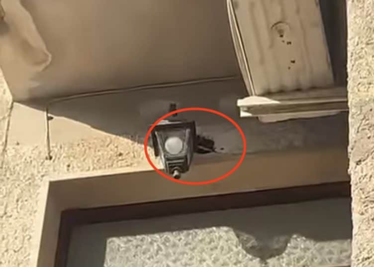 Il nido visto dall’esterno, vicinissimo al lampione.