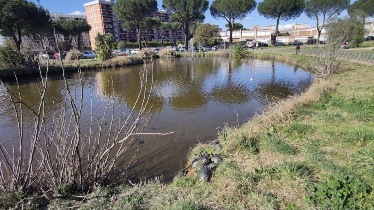 Il Parco di Tor Tre Teste (Immagine di Google Maps)