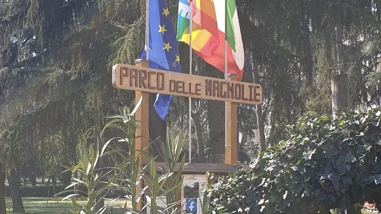 Immagine