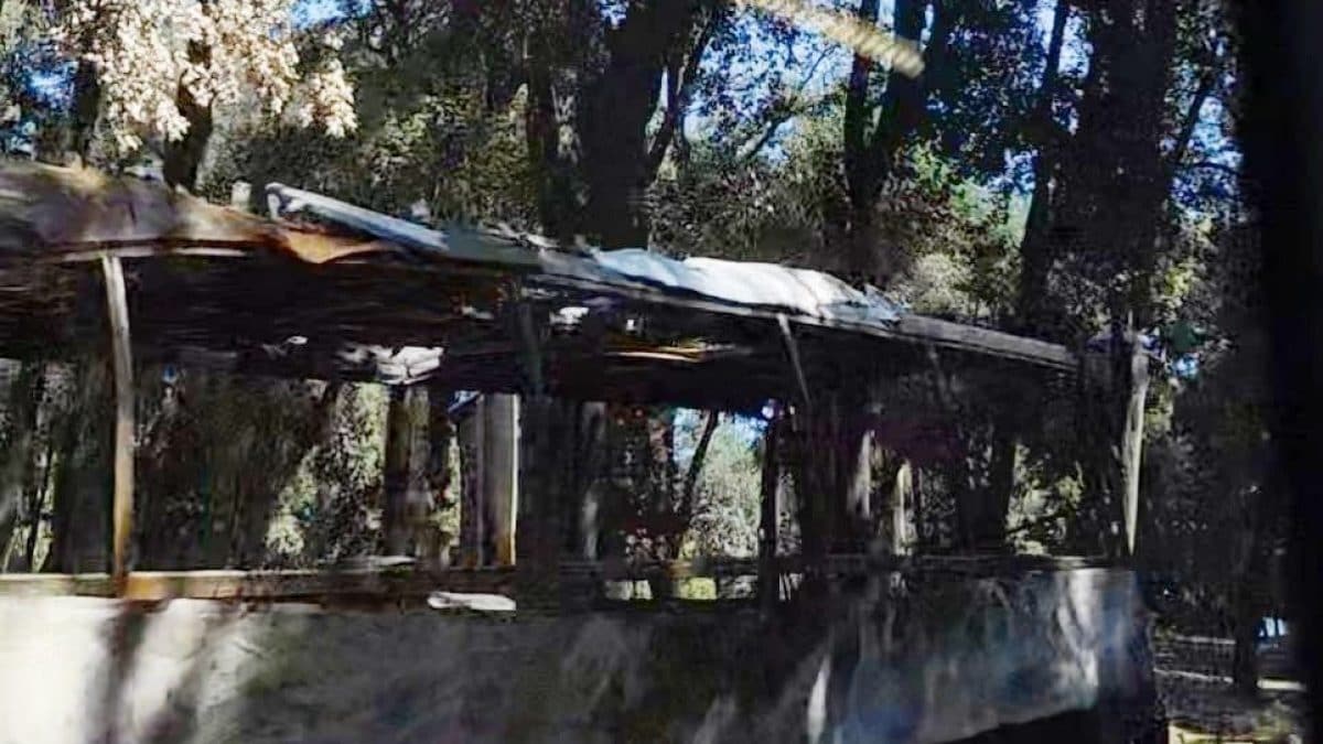 Ciò che resta del pullman in fiamme a Villa Borghese lo scorso Ferragosto.