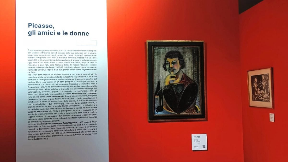 Una delle opere alla mostra su Picasso.