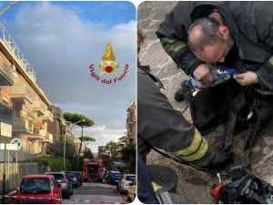 incendio-torevecchia-300x225.jpg