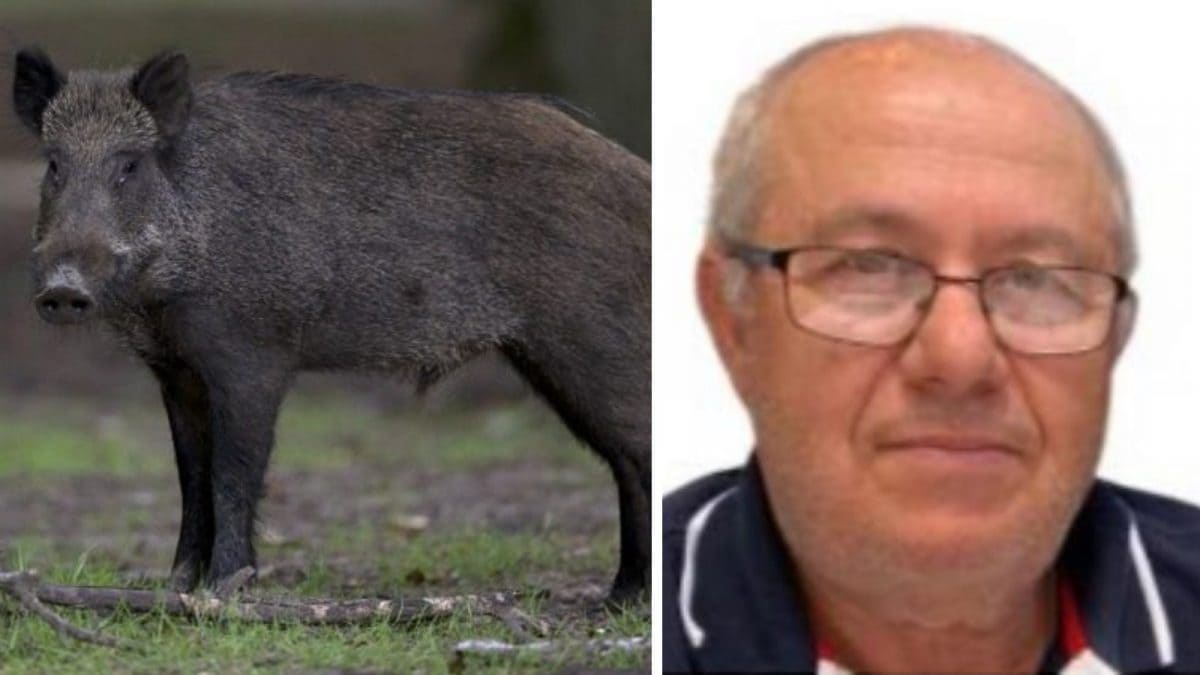 Luigi Rotondo, morto a 74 anni durante una battuta di caccia