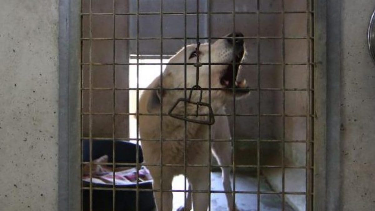 Immagine di repertorio