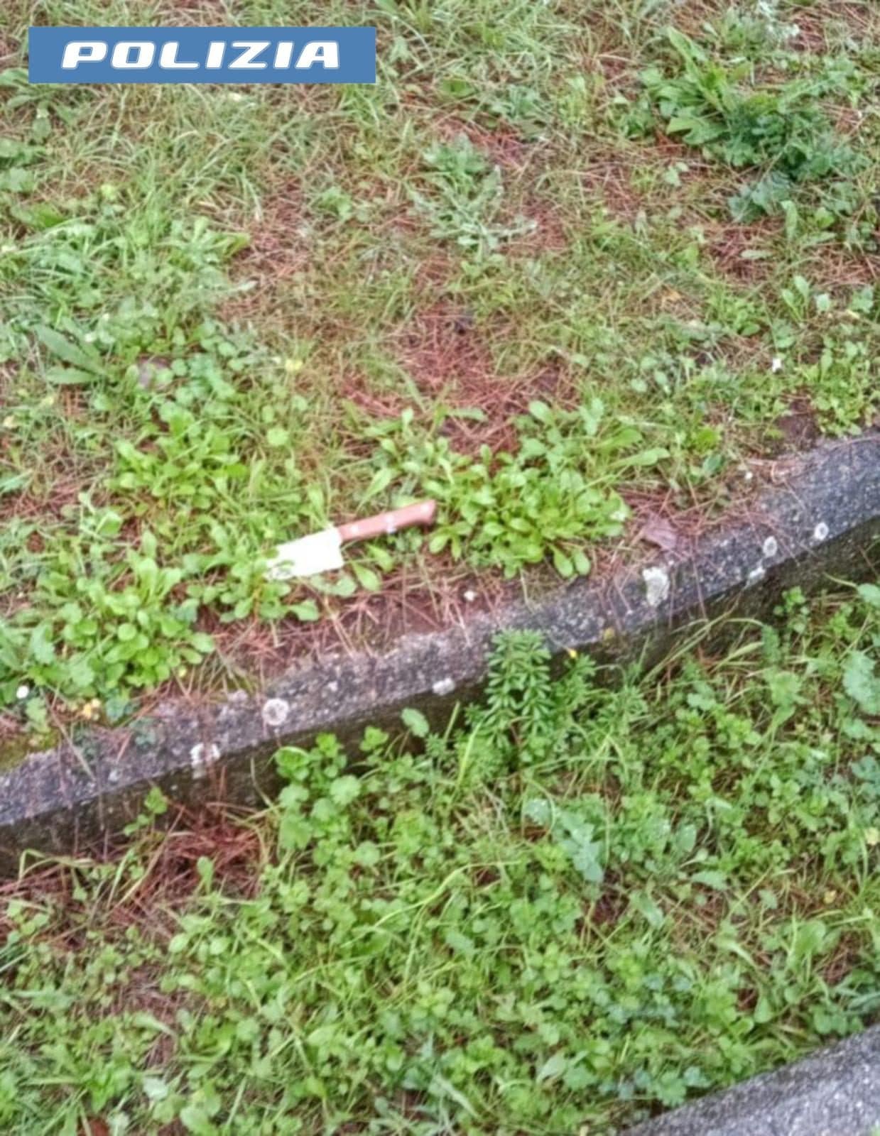 Uno dei coltelli lanciati dal bus.