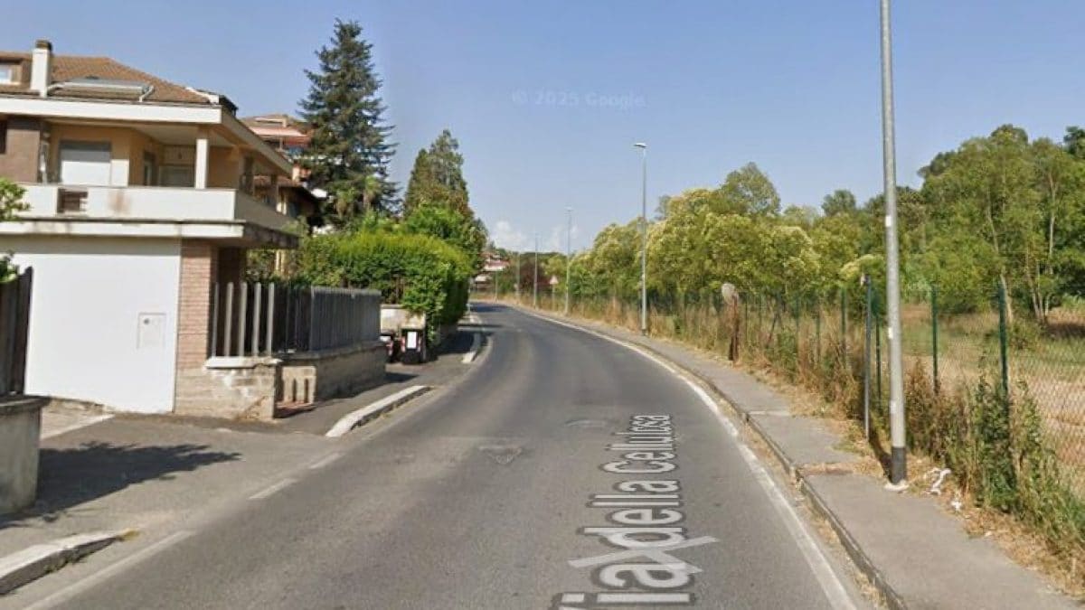 Via della Cellulosa (Foto da Google Maps)
