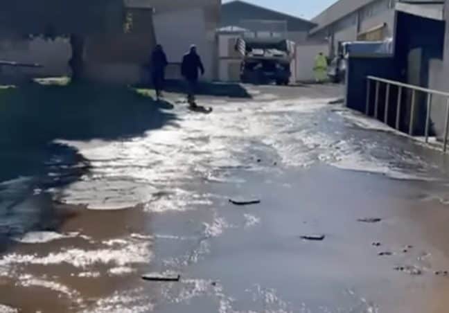 L’allagamento nella struttura in cui si è rotto un tubo.