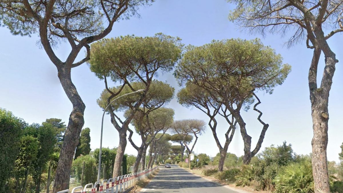 Via di Castel Fusano (foto da Google Maps)