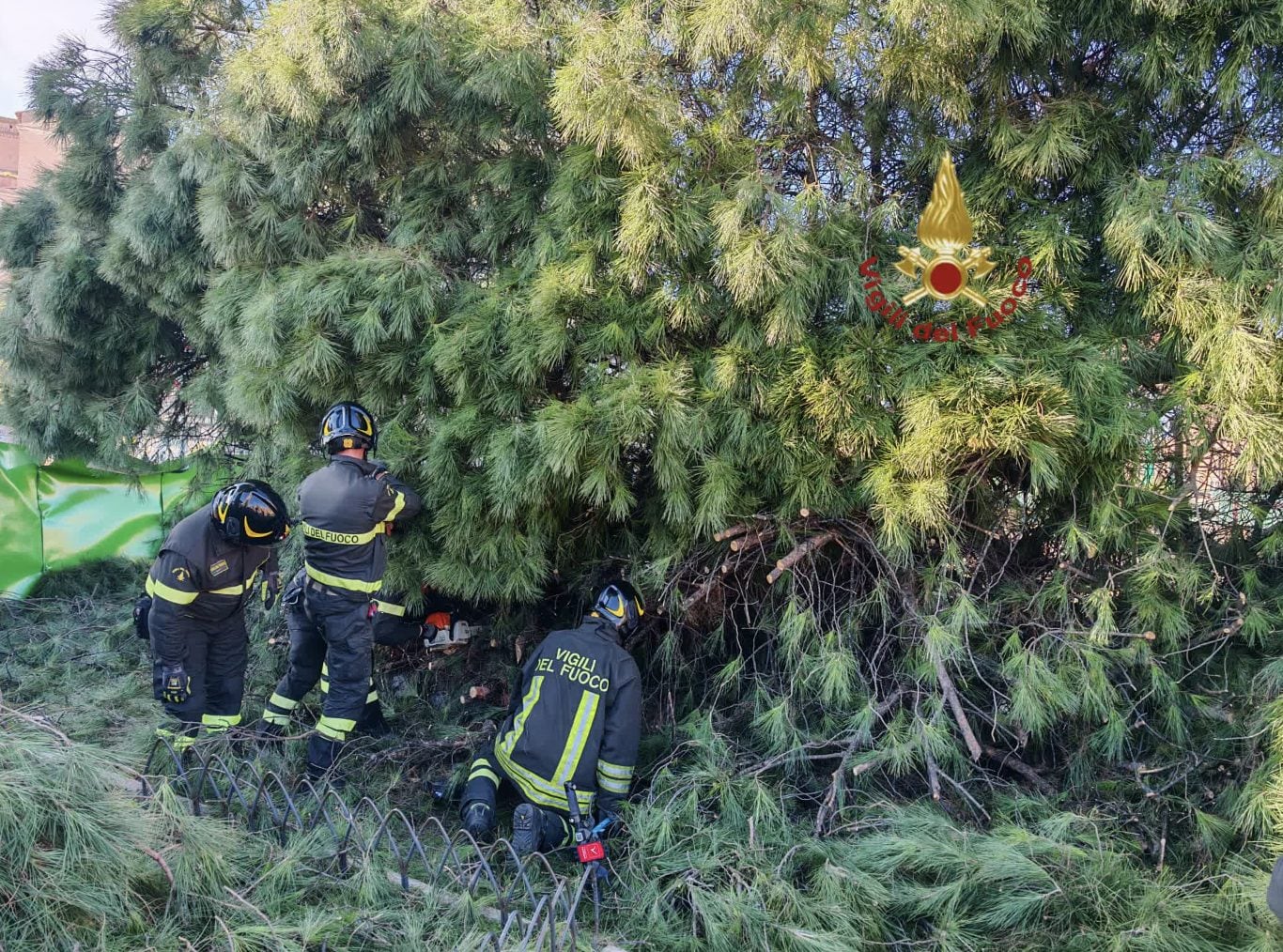 I vigili del fuoco al lavoro per rimuovere l’albero in via dei Fori Imperiali