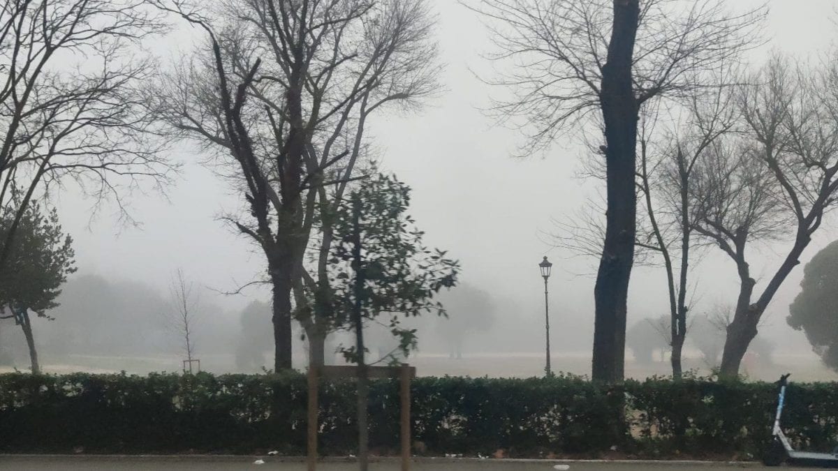La nebbia questa mattina a Villa Borghese. Foto Fanpage.