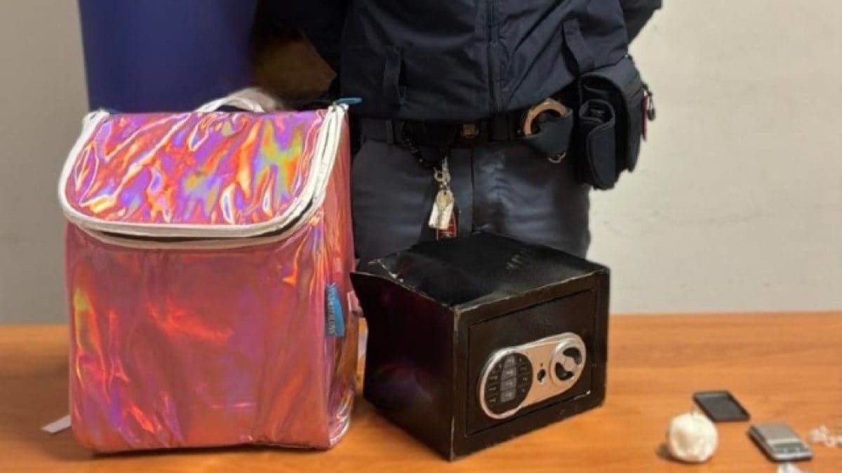 La borsa frigo all’interno della quale era nascosta la cocaina
