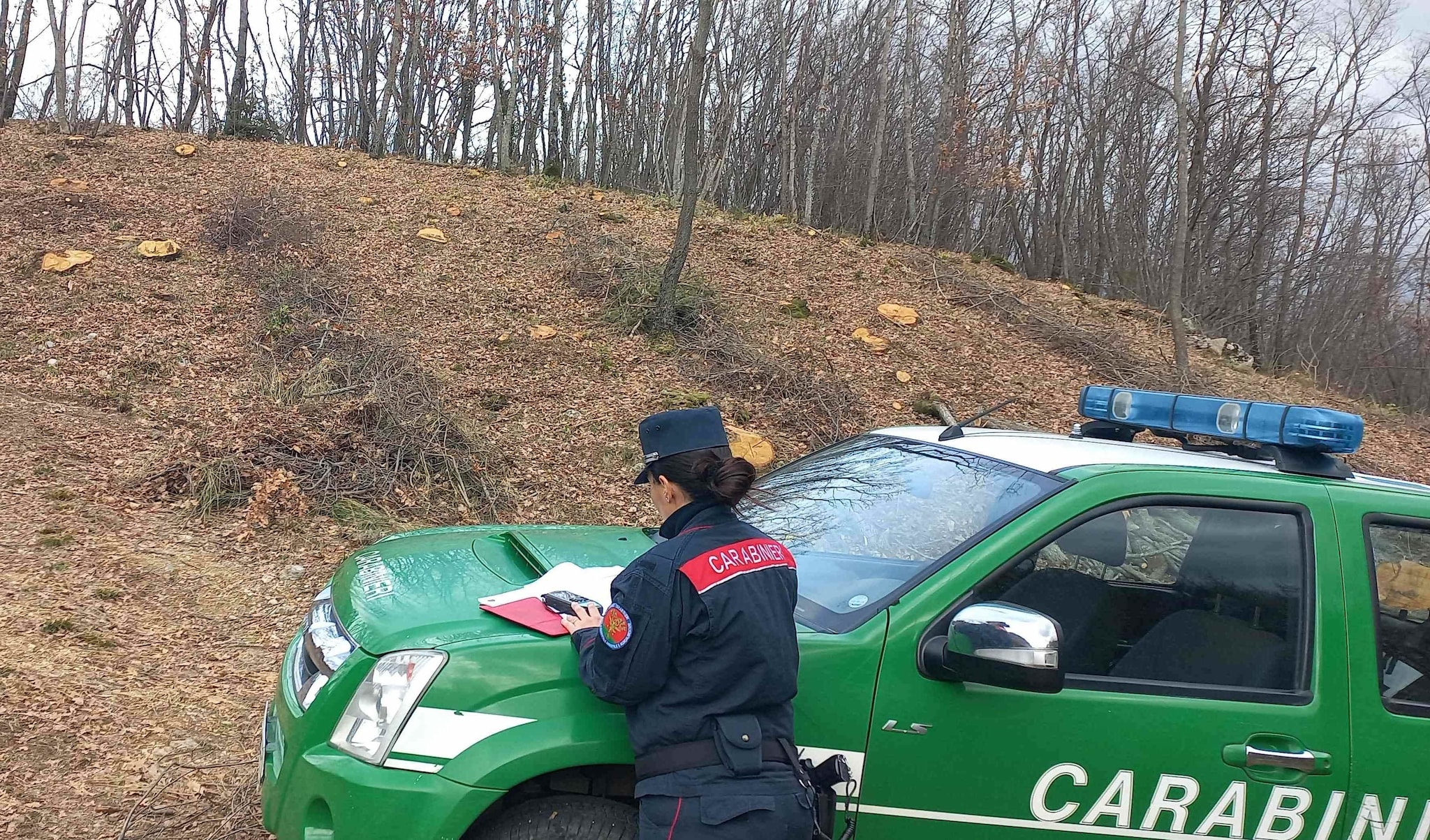 Paura nei boschi dei Castelli Romani: 71enne si ammala raccogliendo asparagi e viene salvata