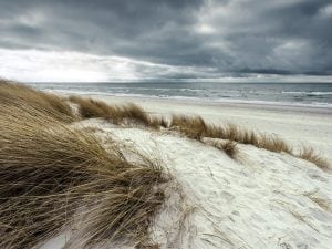 Maltempo, previsti venti di burrasca sul litorale: parchi e cimiteri chiusi a Fiumicino e Fregene