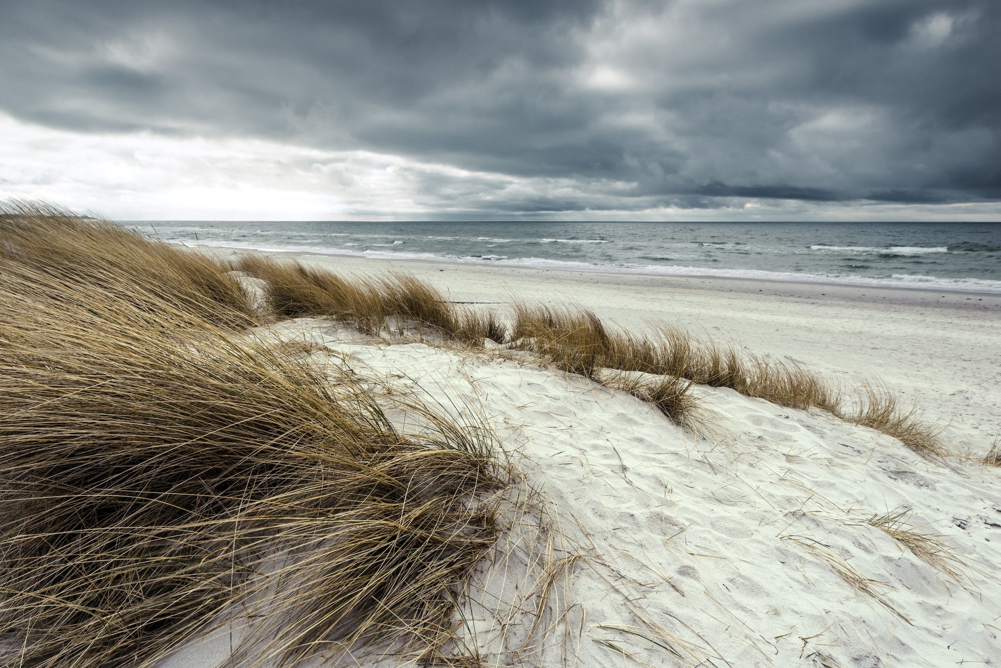 Allarme maltempo su Roma: venti di burrasca chiudono parchi e cimiteri litorali.