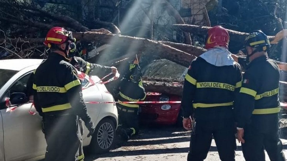I vigili del fuoco sul posto