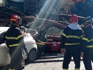 Roma, crolla un albero su via Tiburtina a San Lorenzo: due feriti