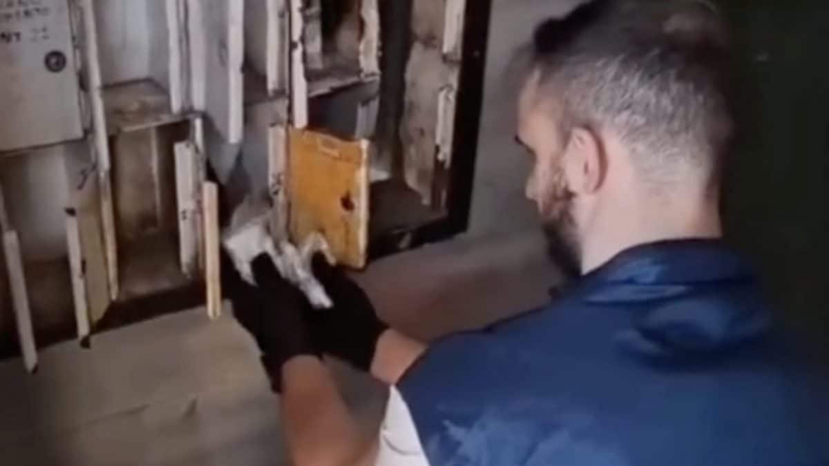 La polizia in azione (foto da polizia)