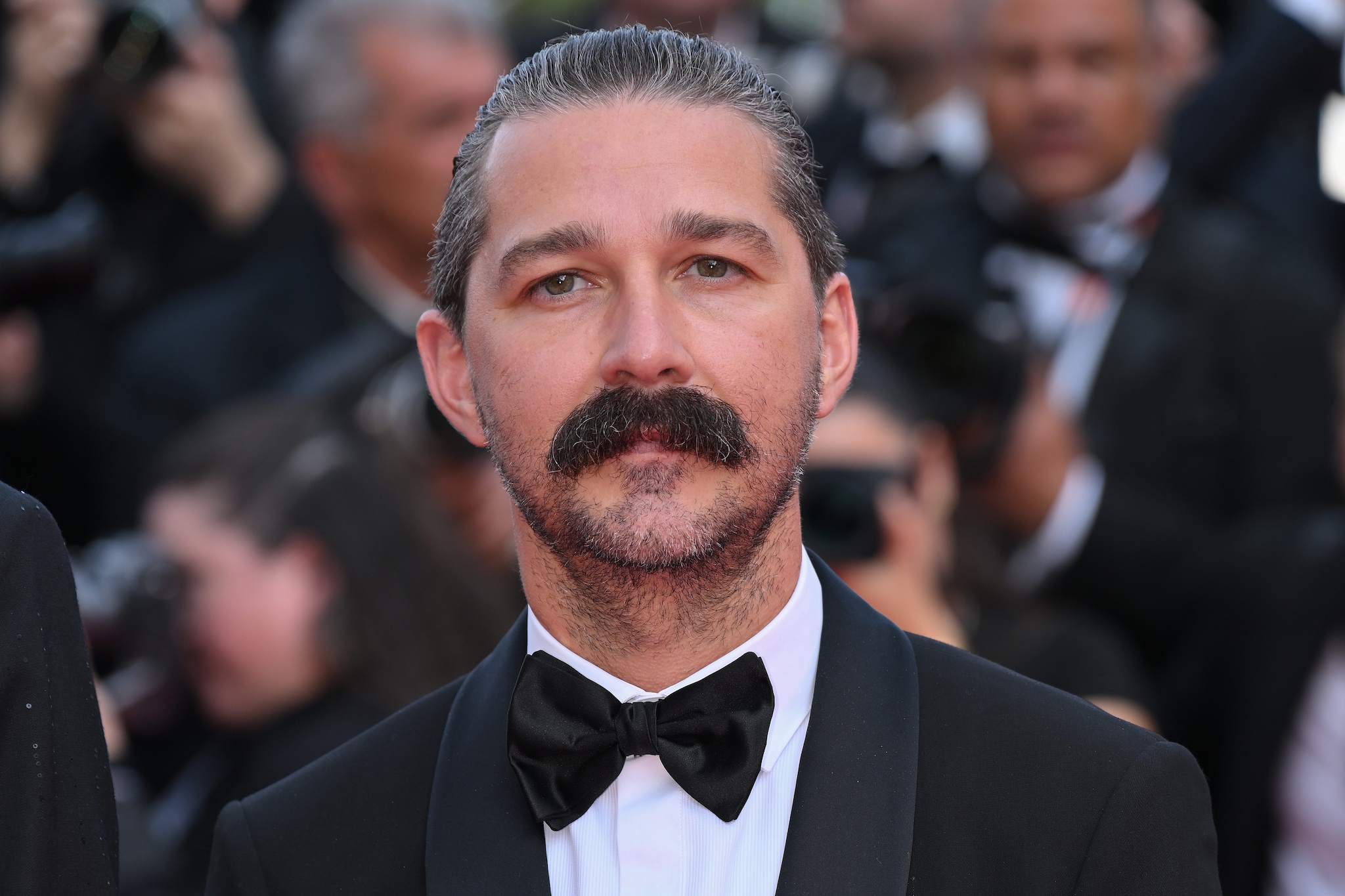 Shia LaBeouf.