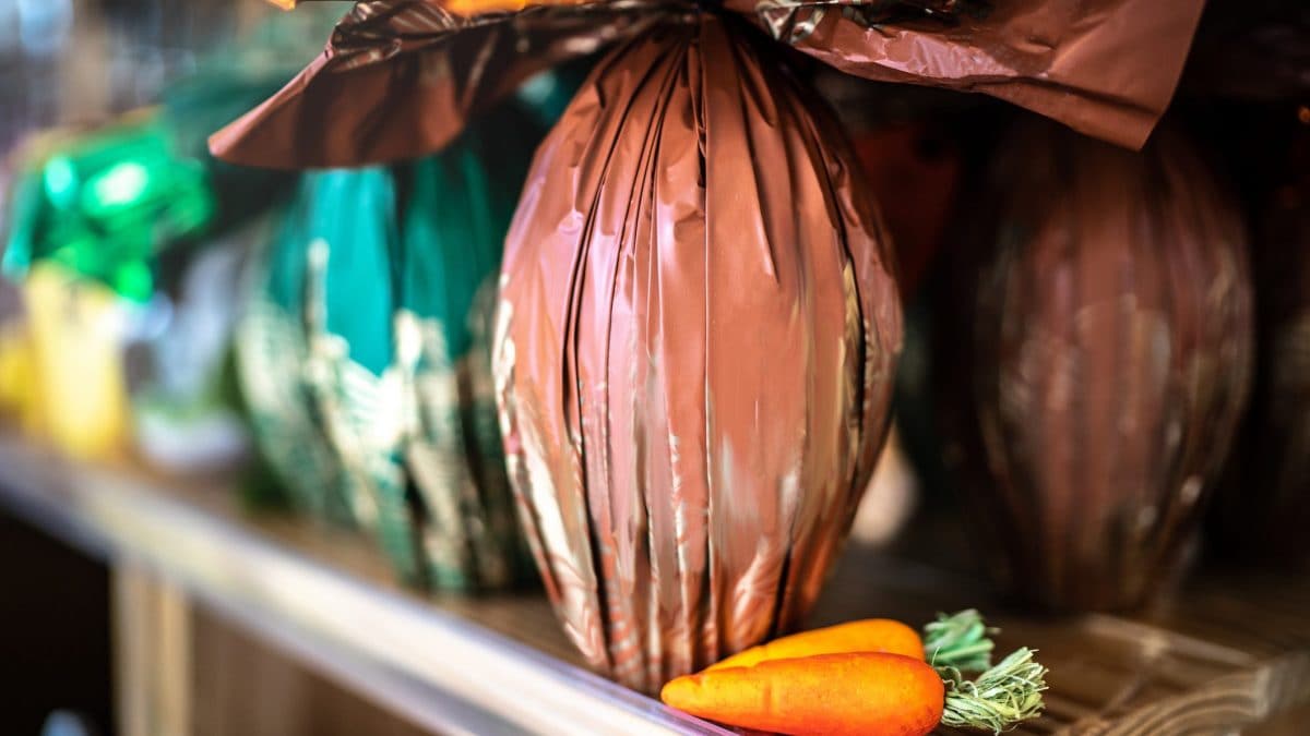 Immagine di repertorio (iStock)