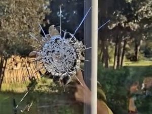 Vandalizzato nella notte di Pasqua il bistro Ohana all’Infernetto, il primo locale Antimafia di Roma