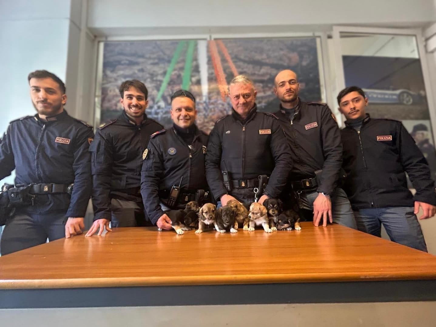 Gli otto cuccioli e gli agenti che li hanno salvati.