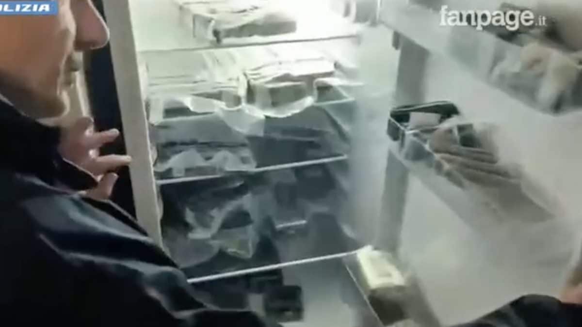 La droga nel frigo