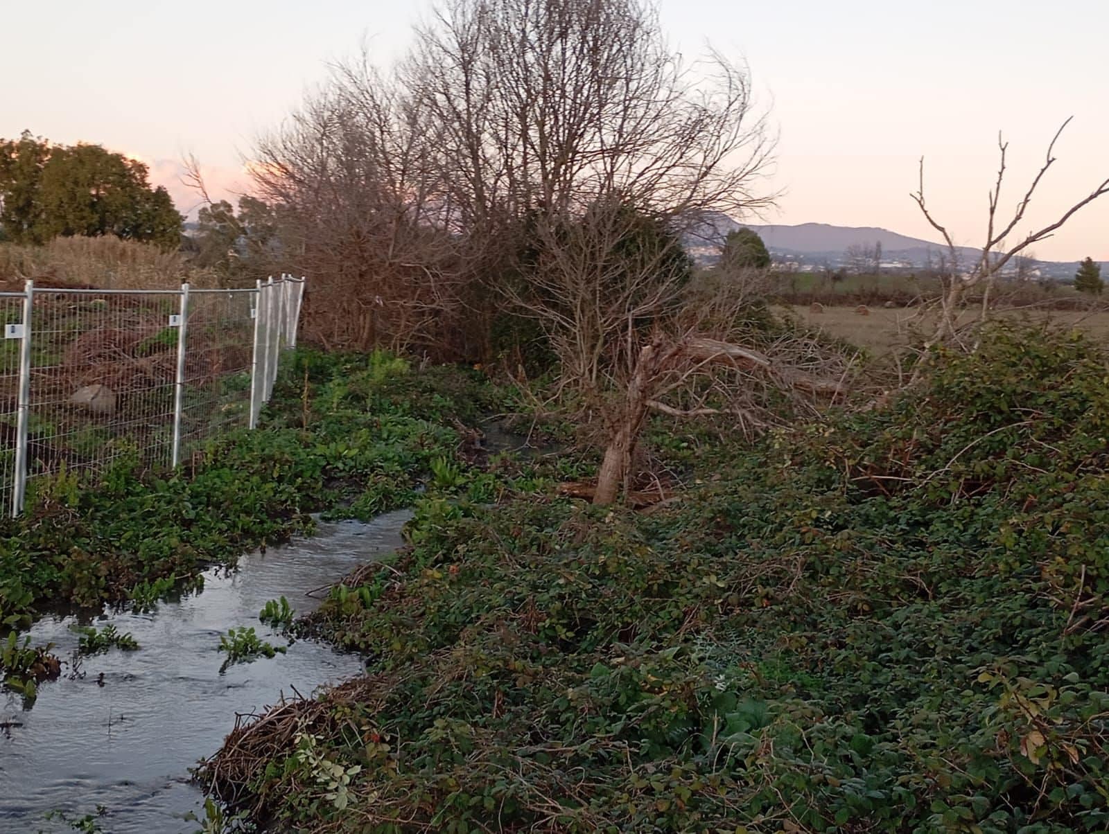 Il fosso della Cancelliera a Santa Palomba (da Facebook: Alessandro Lepedini)