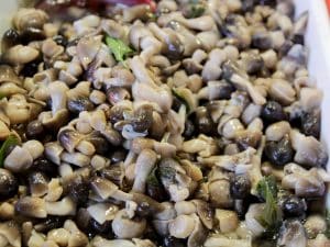 Intossicazione da funghi chiodini nel Frusinate: ricoverata dopo un pranzo in famiglia