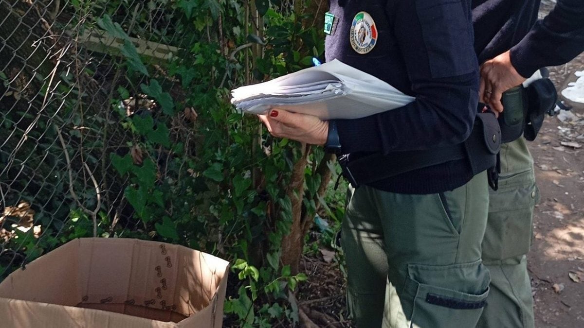 Le guardie zoofile con lo scatolone trovato sulla Nettunense