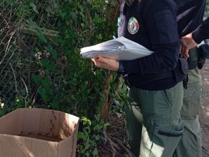 Due cani trovati morti in uno scatolone ad Anzio lungo la Nettunense: caccia ai responsabili