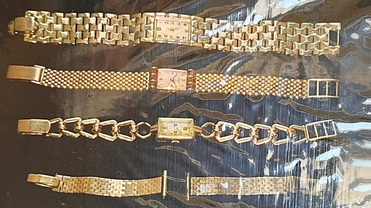 Parte della refurtiva (Foto da polizia)