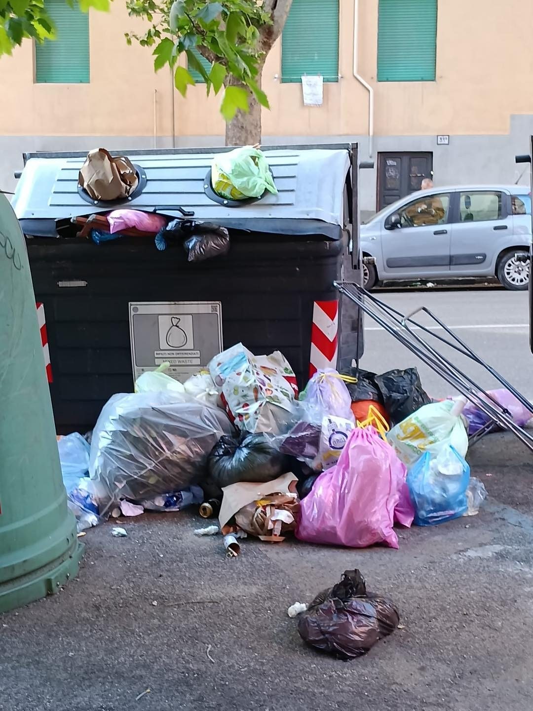 Immagine