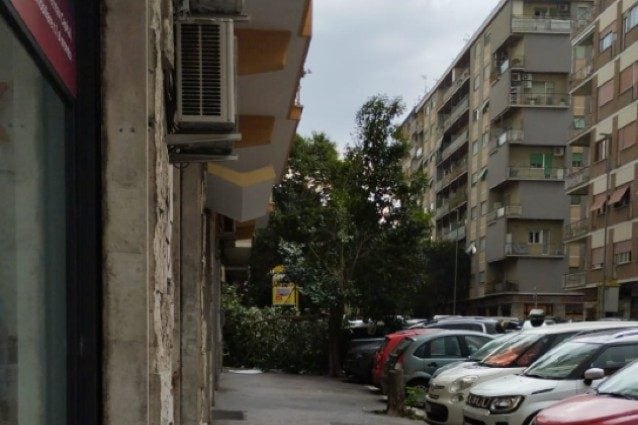 Gli alberi caduti a Centocelle