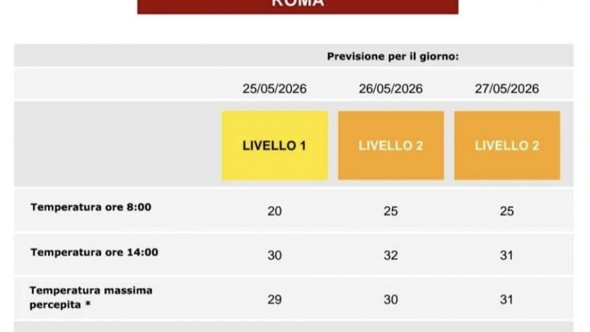 Il bollettino di calore.