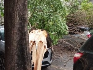 Maltempo a Roma e nel Lazio: forte vento e temporali abbattono alberi, strade allagate