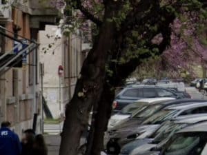 Grosso albero cade su un auto a Testaccio: strade chiuse per ore e traffico in tilt nel rione