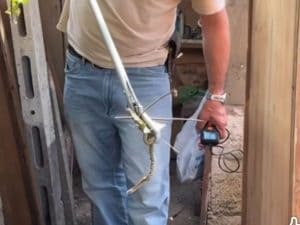 Vipera nel giardino di una villa di Capena accanto alla cuccia del cane: catturata