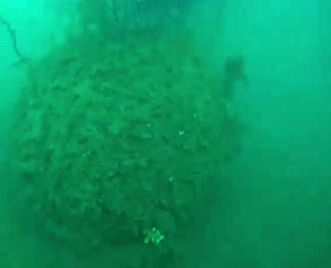 La mina rinvenuta nelle acque davanti la Frasca, Civitavecchia