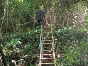 Trovato il cadavere di un uomo in un dirupo a Nemi